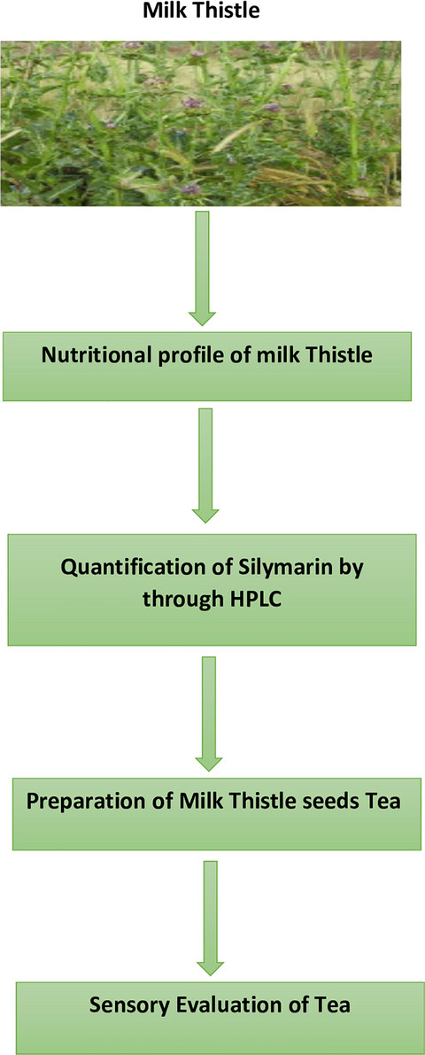RETRACTED: Biochemical profile of milk thistle (Silybum Marianum L.) with special reference to silymarin content