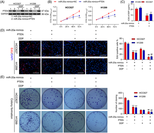 Details are in the caption following the image Details are in the caption following the image