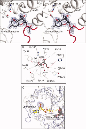 Details are in the caption following the image Details are in the caption following the image