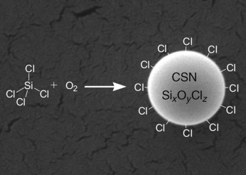 Synthesis and Functionalization of a New Kind of Silica Particle