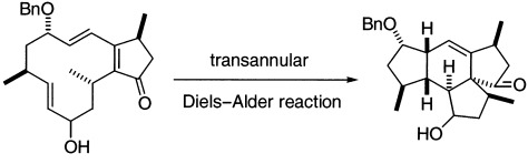 Enantioselective Synthesis of the Spirotetracyclic Carbon Core of Mangicols by Using a Stereoselective Transannular Diels–Alder Strategy