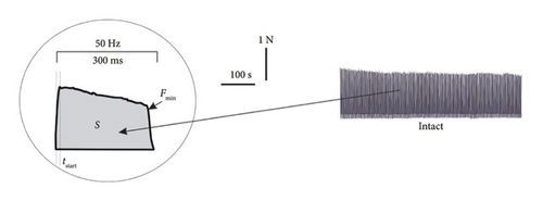 Details are in the caption following the image