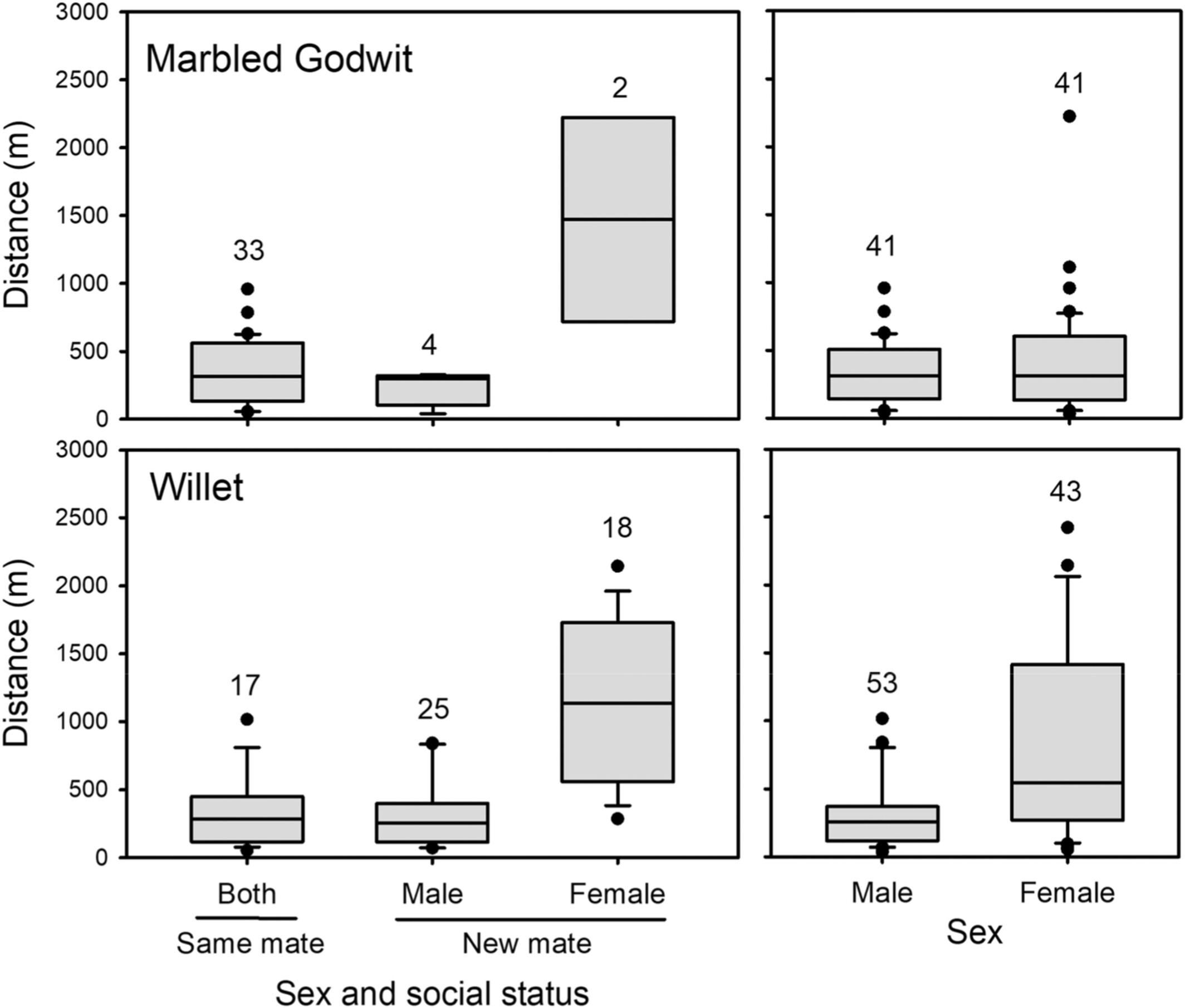 Breeding populations of Marbled Godwits and Willets have high annual survival and strong site fidelity to managed wetlands