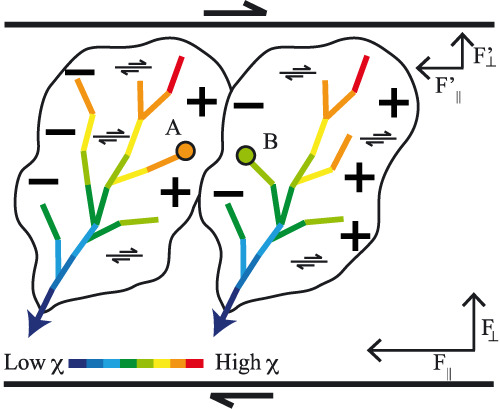Landscape ‘stress’ and reorganization from χ-maps: Insights from experimental drainage networks in oblique collision setting
