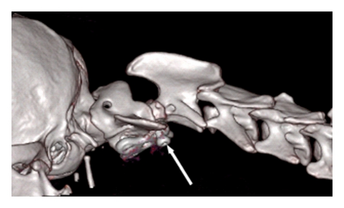 Details are in the caption following the image Details are in the caption following the image