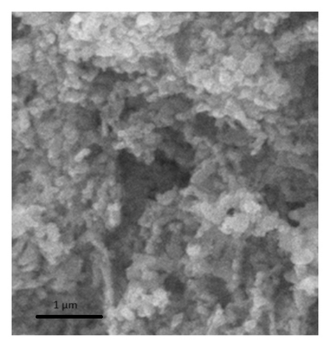 Details are in the caption following the image