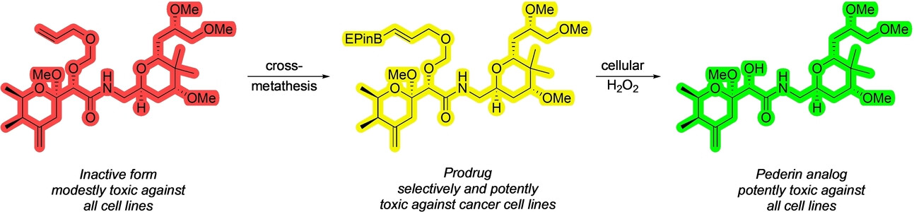 Potent and Selective Oxidatively Labile Ether-Based Prodrugs through Late-Stage Boronate Incorporation