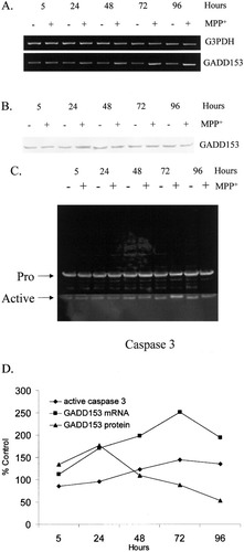 Details are in the caption following the image