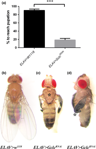 Details are in the caption following the image
