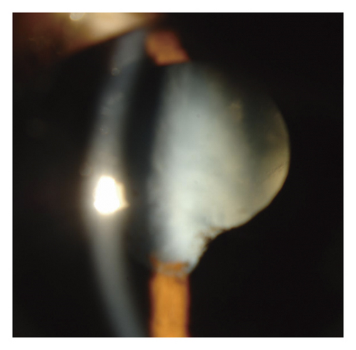 Details are in the caption following the image