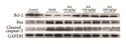 Details are in the caption following the image