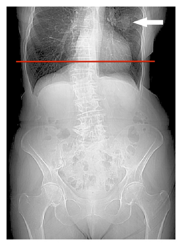 Details are in the caption following the image Details are in the caption following the image