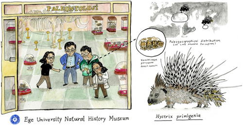 Details are in the caption following the image