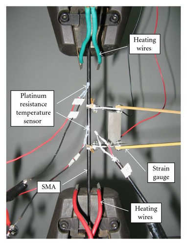 Details are in the caption following the image Details are in the caption following the image