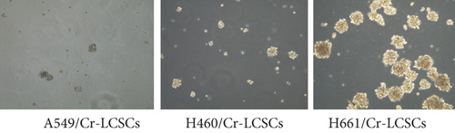 Details are in the caption following the image