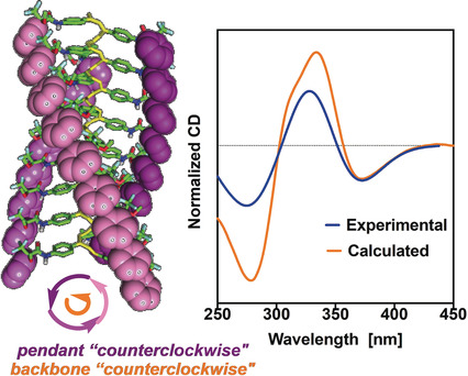 Predicting the Helical Sense of Poly(phenylacetylene)s from their Electron Circular Dichroism Spectra
