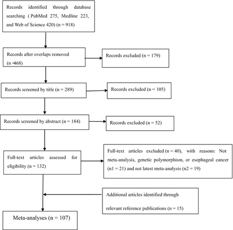 Cumulative evidence for association between genetic polymorphisms and esophageal cancer susceptibility: A review with evidence from meta-analysis and genome-wide association studies