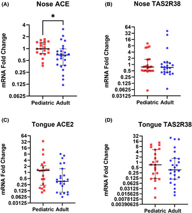ACE2 and TAS2R38 receptor expression in pediatric and adult patients in the nasal and oral cavity