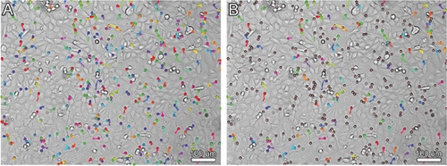 Details are in the caption following the image Details are in the caption following the image