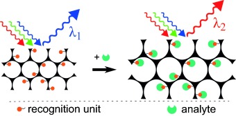 Responsive Inverse Opal Hydrogels for the Sensing of Macromolecules