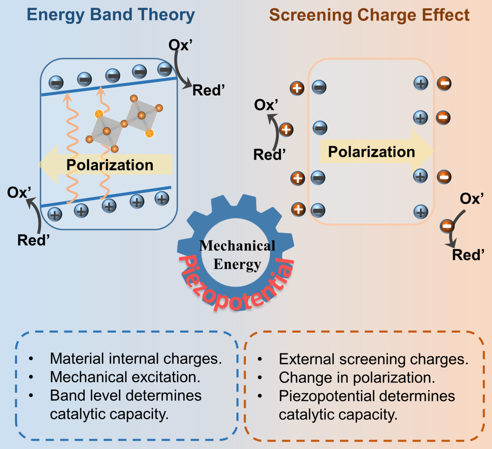 The Mechanism of Piezocatalysis: Energy Band Theory or Screening Charge Effect?