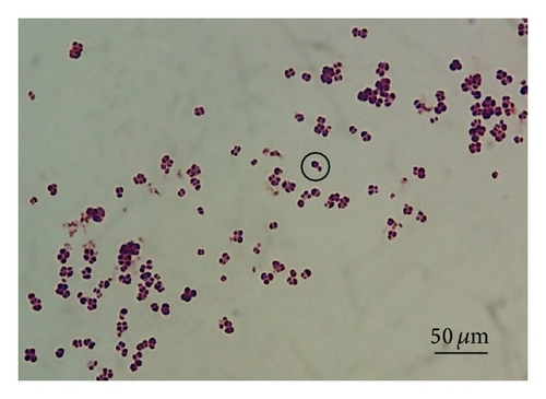 Details are in the caption following the image