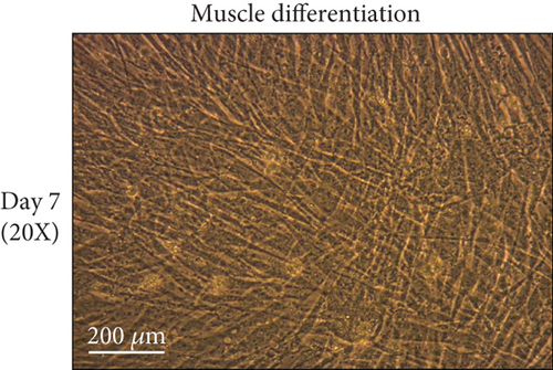 Details are in the caption following the image