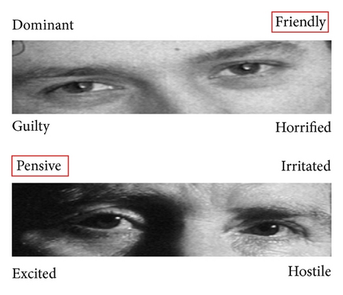 Details are in the caption following the image