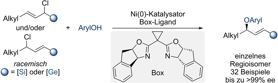 Enantio- und regiokonvergente, nickelkatalysierte Veretherung von Phenolen durch Allylierung zur Darstellung chiraler C(sp3)−O-Allylarylether