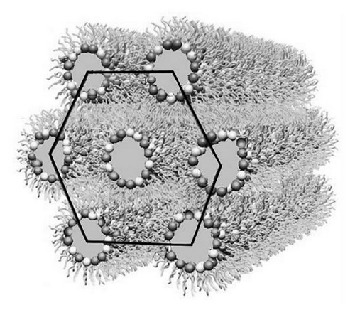 Details are in the caption following the image