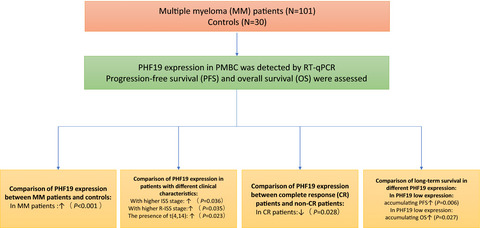 PHD finger protein 19 expression in multiple myeloma: Association with clinical features, induction therapy outcome, disease progression, and survival