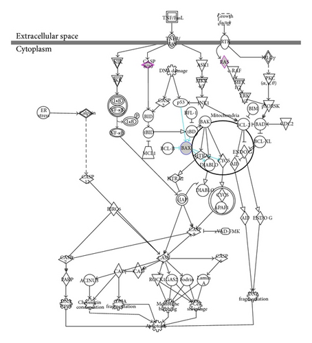 Details are in the caption following the image