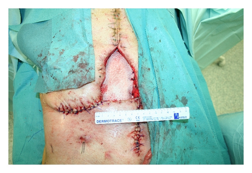 Details are in the caption following the image Details are in the caption following the image