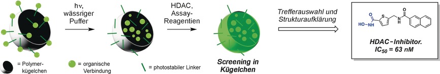 In-Bead Screening of Hydroxamic Acids for the Identification of HDAC Inhibitors