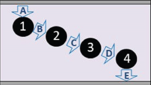 Details are in the caption following the image