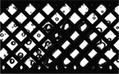 Gas-Liquid Flow Patterns in a Rectangular Milli-Structured Channel with Static Mixing Elements