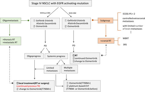 EGFR-mutated stage IV non-small cell lung cancer: What is the role of radiotherapy combined with TKI?