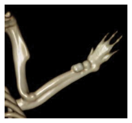 Details are in the caption following the image