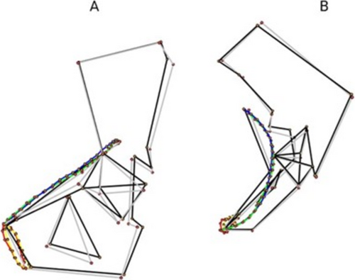 Details are in the caption following the image