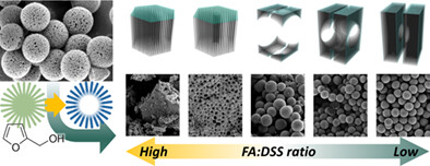 Mesoporous carbon hollow sphere with dandelion-like radial-hierarchy for high-performance supercapacitors