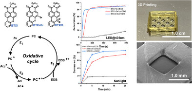 Photoredox Catalysts Based on N-(Hexyl)benzothioxanthene-3,4-dicarboximide for Photopolymerization and 3D Printing Under Visible Light