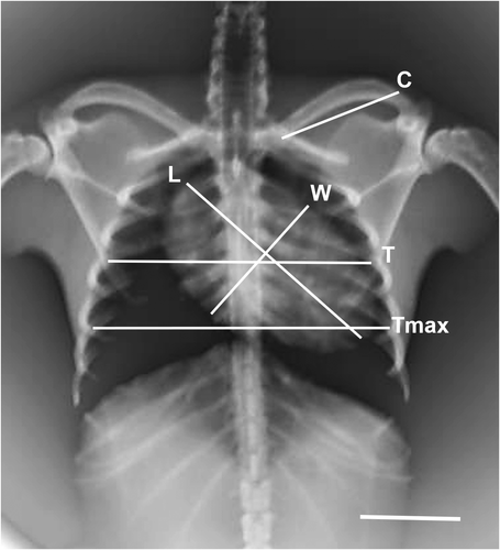 Details are in the caption following the image