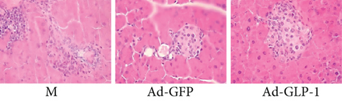 Details are in the caption following the image