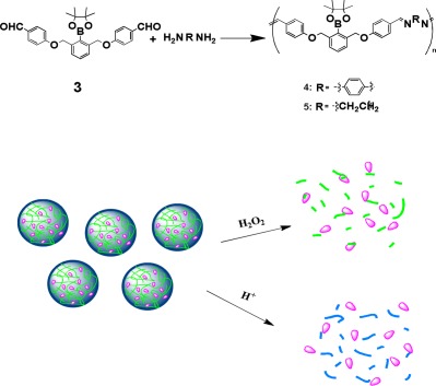 Self-immolative nanoparticles triggered by hydrogen peroxide and pH