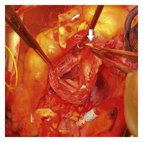 Details are in the caption following the image Details are in the caption following the image