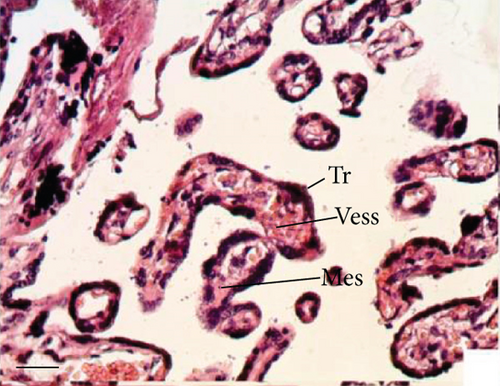 Details are in the caption following the image