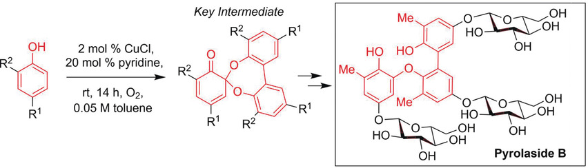 Total Synthesis of Pyrolaside B: Phenol Trimerization through Sequenced Oxidative C−C and C−O Coupling