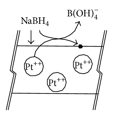 Details are in the caption following the image