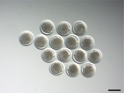 Details are in the caption following the image
