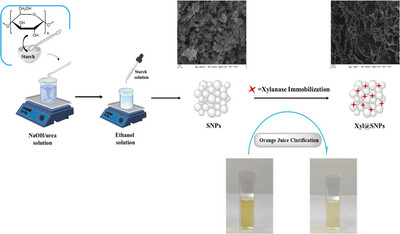 Immobilization of Xylanase onto Starch Nanoparticles: A Reusable and Robust Nanobiocatalyst for Juice Clarification